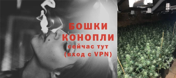 гидра Наволоки