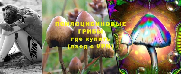 гидра Наволоки